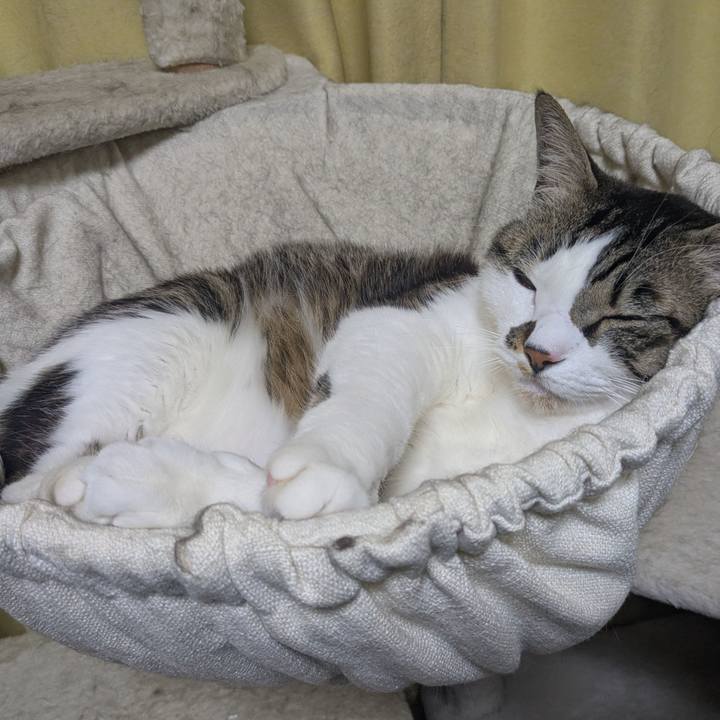 7d3c8e11 7dd5 44ce 9199 d2283d70b834 1770897802341