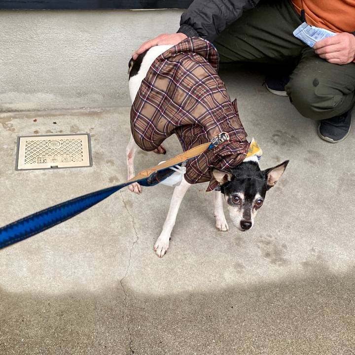 7d3cb90e c70b 4d58 944a 5b97735cfc3c 1585260283199