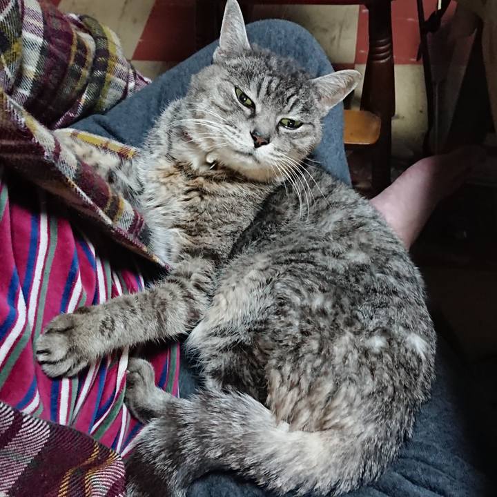 7d3cd98d 8fa7 44b7 ac9b 6fd3f57acd24 1578311097926