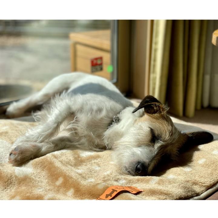 7d3ce1db 5778 4cb1 9d68 8f61005b68e6 1678327048825