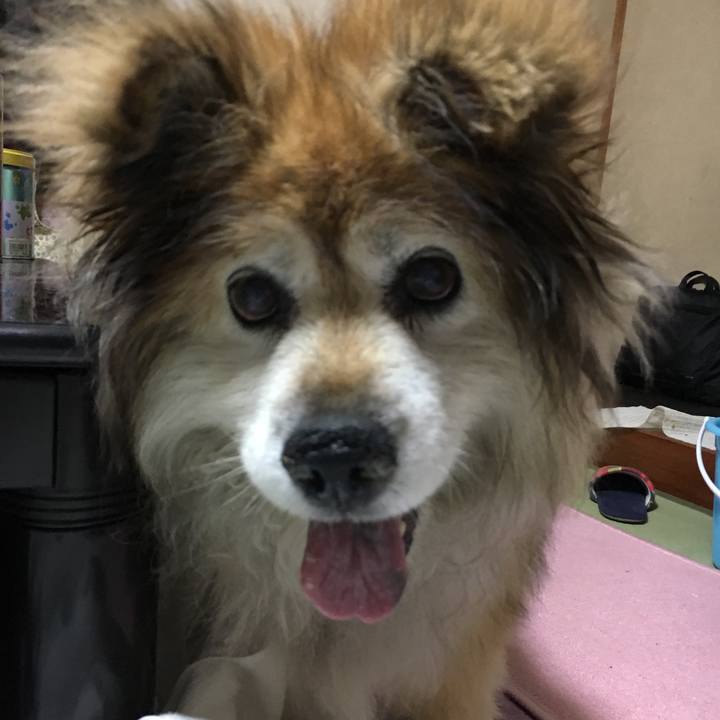 7d3d231b 3879 4172 b11d 14dd499bb59c 1559557105821