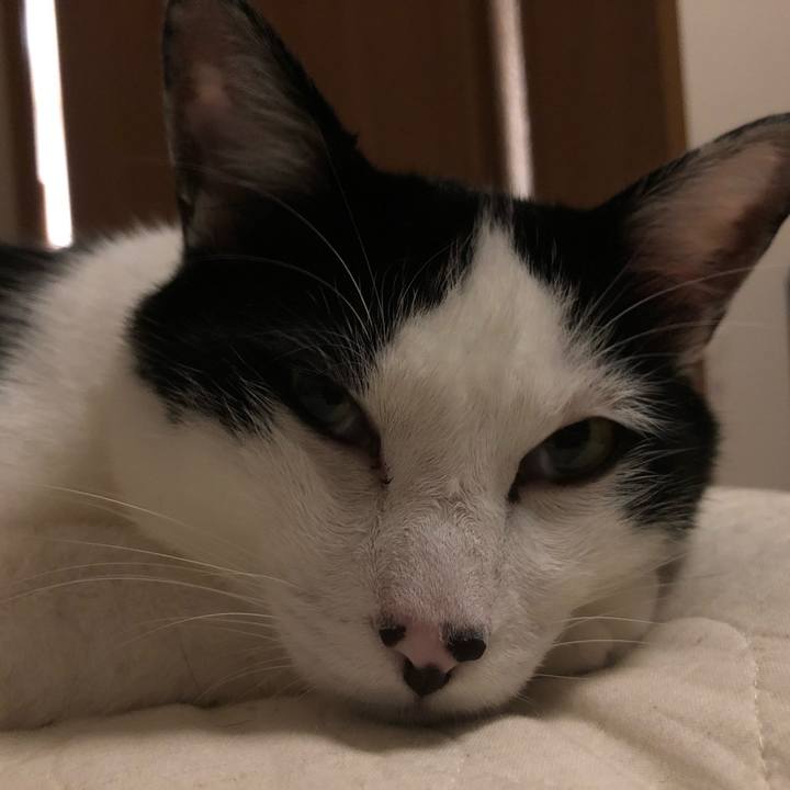 7d3d2962 b44a 447b 84ef d2ca3a6ccdc3 1562257456924