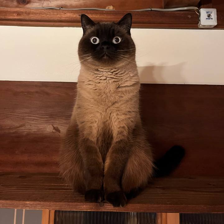 7d3d58af efa1 4b59 b188 992116dd18b0 1711624978720