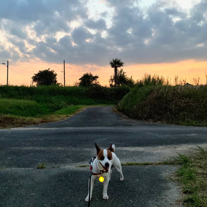 7d3d77f6 01da 4b3e b132 993f5567a605 1564577631294