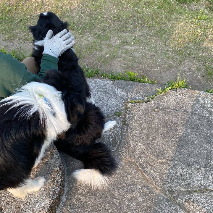 7d3d8dc1 ed86 4007 9716 468791ea8458 1651484737566