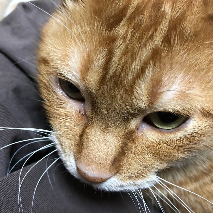 7d3d8e8e fee0 4254 95fd 57e2d3b27628 1644919168771