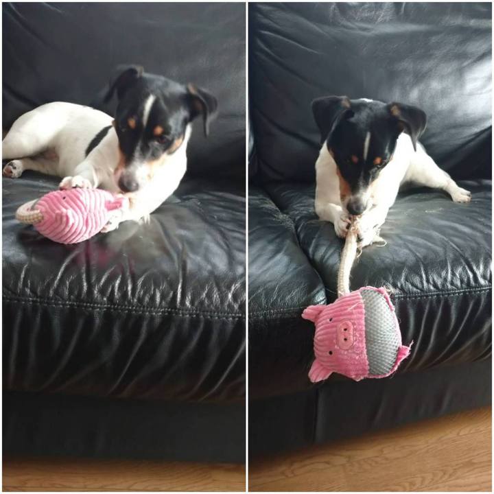 7d3d90ac 339c 4455 a837 3b33af53c927 1629292637291