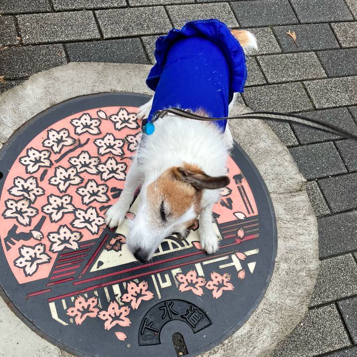 7d3d9589 8272 40d6 8d7f 958c94c8aa00 1665617075060