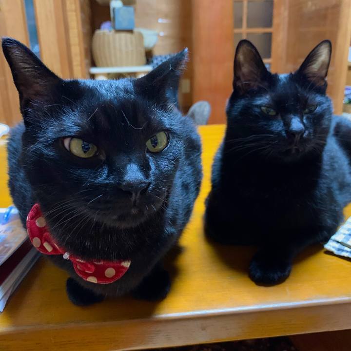 7d3de7d1 dc03 459b 9d5c 08e6614b8096 1592308861705