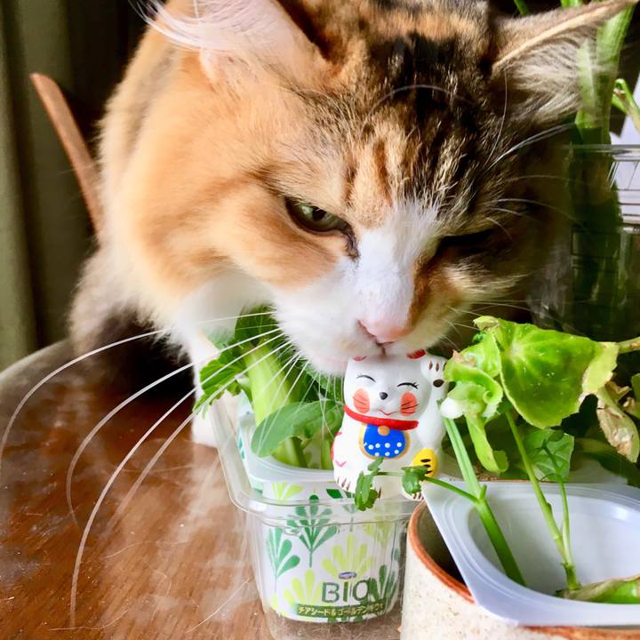 7d3e201f 3246 4816 87e9 e792f0cf2113 1554676702470