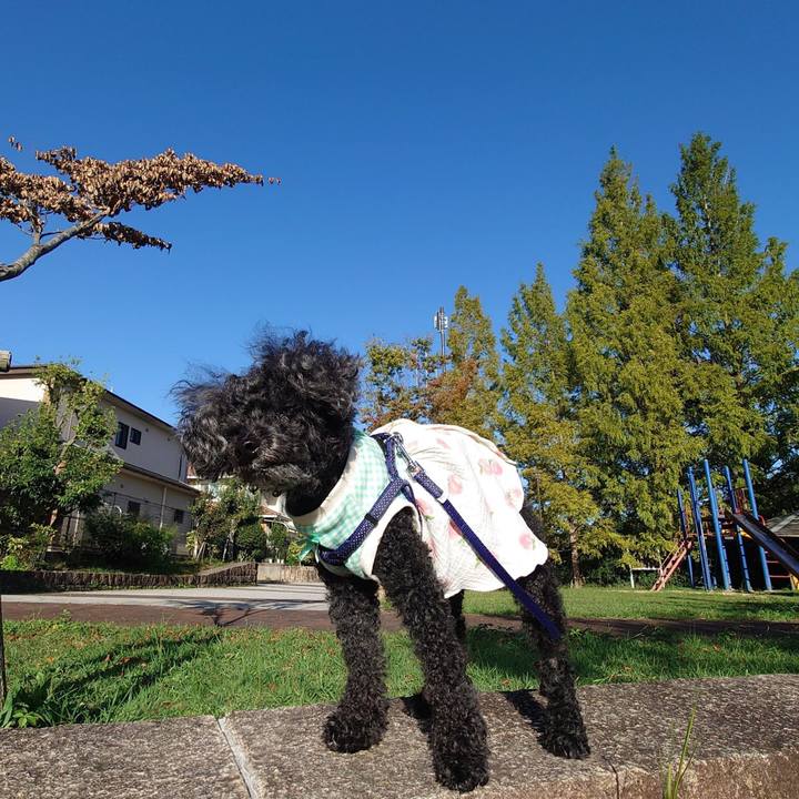 7d3e7629 5177 4df7 a019 83d878191c71 1760686179616