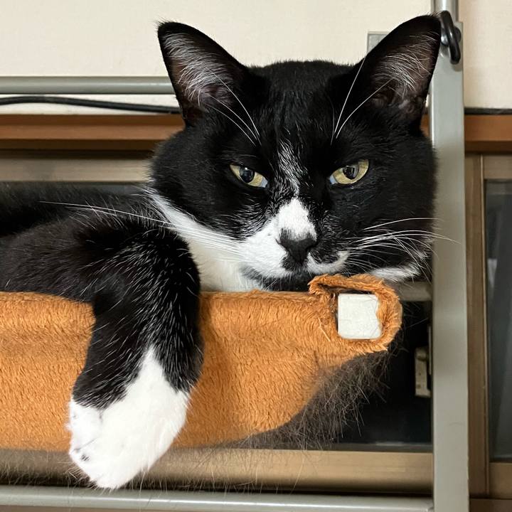 7d3e7891 e04e 4f97 a58a addcfd87c5be 1728391353073