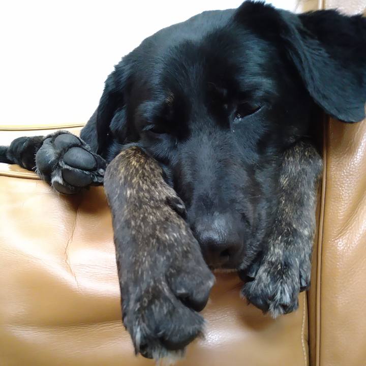 7d3eb7f6 186b 44ce a4b5 712e25faf760 1619653118781