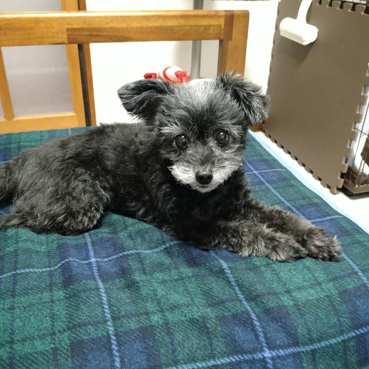 7d3f04b5 d9e7 43e9 8cbb 39193ecb8f17 1697642673368