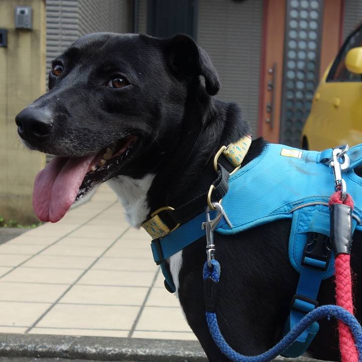 7d3f07f2 0f59 477f 9422 7bcc3c0ce307 1624320155038