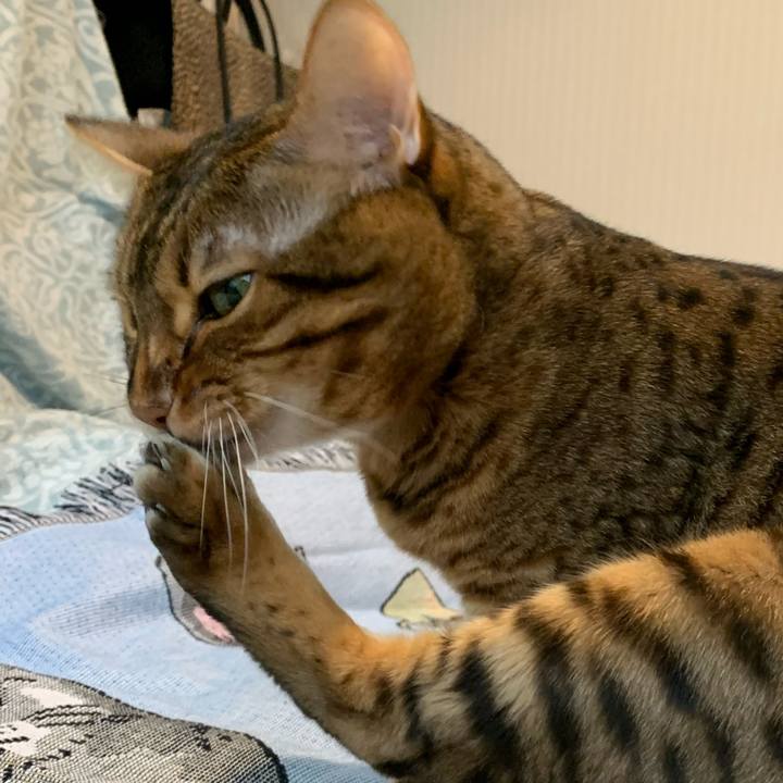 7d3f43b7 f58e 4076 bc16 d9607cc1a59a 1631758039335