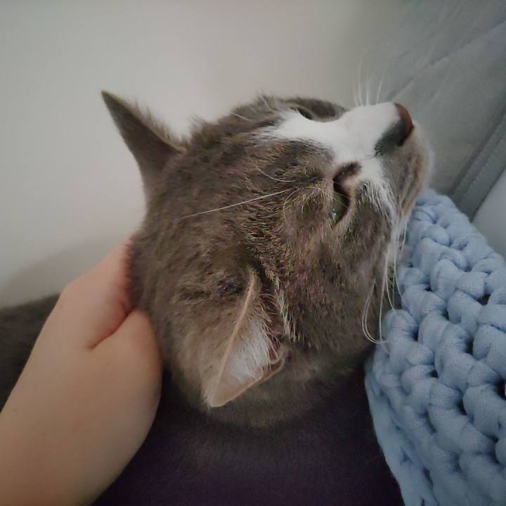 7d3f5fc7 1c48 4bc3 942e e3427c8b7d83 1683943716730