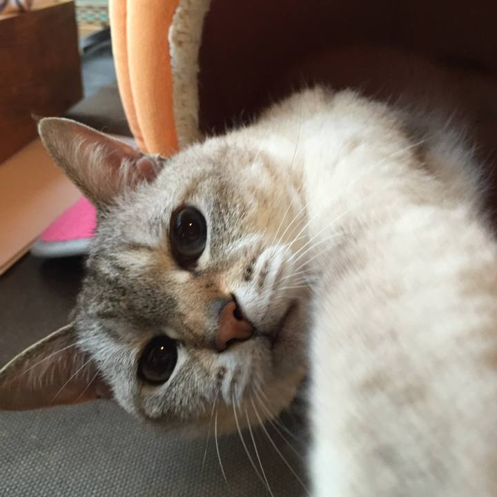 7d3f7e05 175a 4c14 b578 47c919513a31 1530961731318