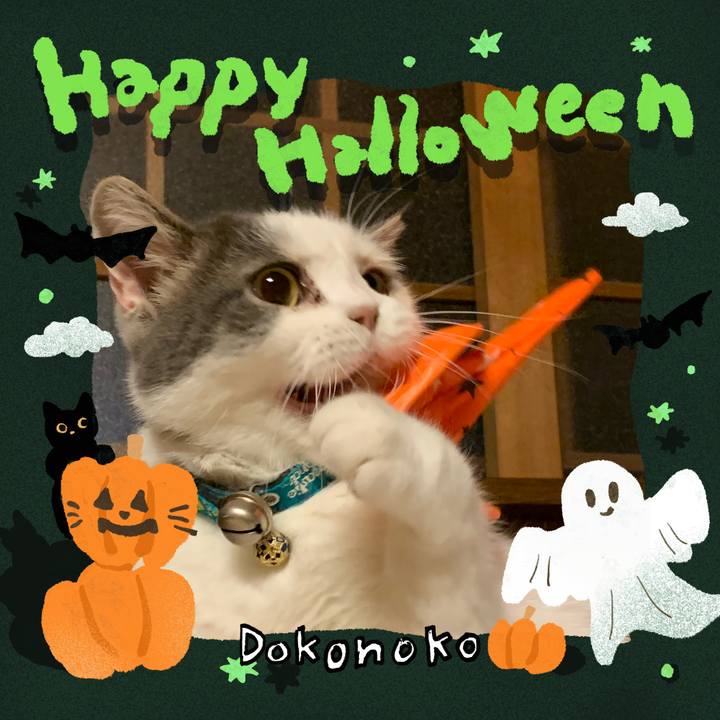 7d3f7e36 b94f 4845 aca4 8bfdebe8c123 1729936532946