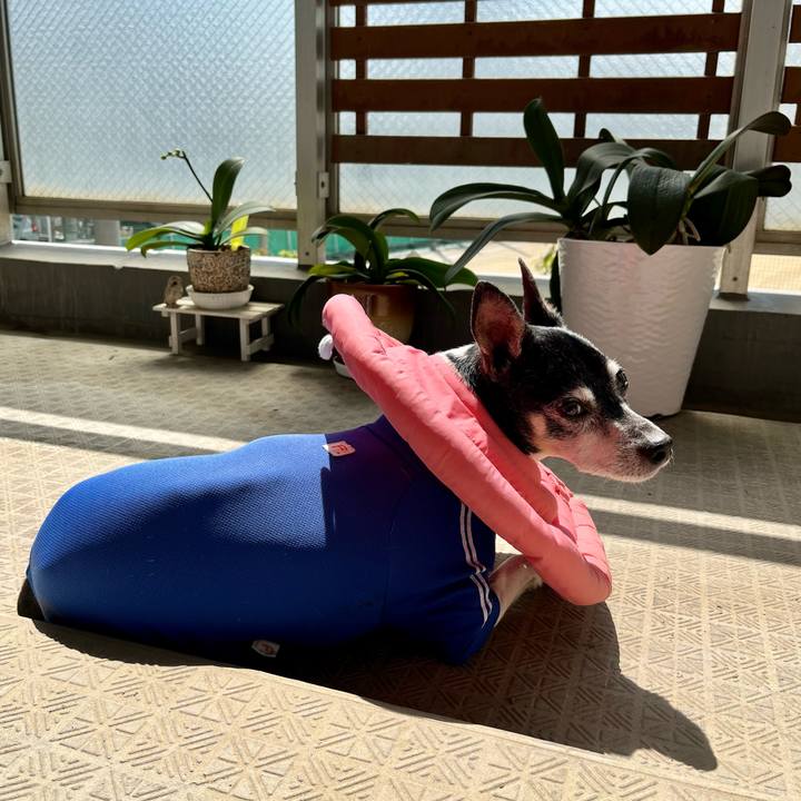 7d3f8318 4628 48e2 ba0d bdfbd758178b 1649558592240