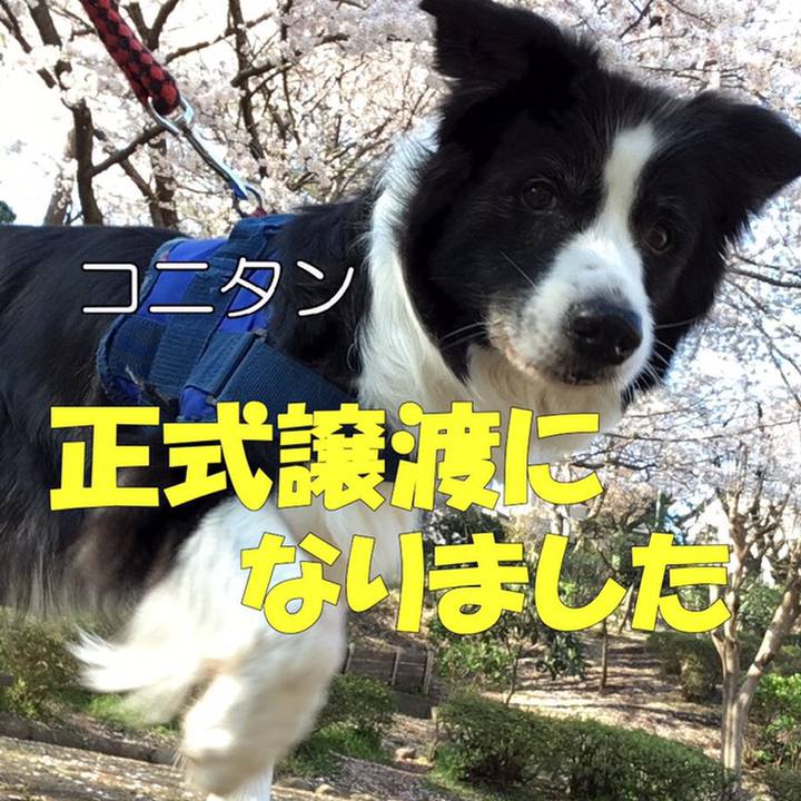 7d3f8e64 1859 4de4 9245 800b125f53a0 1558603289465