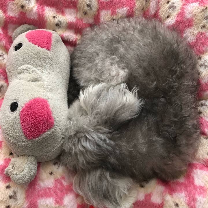 7d3fabe2 d3b5 4b5c 8cda 282218436ef6 1636861628550