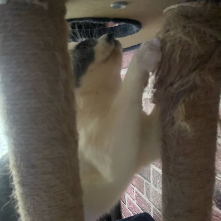 7d400a34 1fcf 448b 9b38 89c51ccd06b2 1738362617375