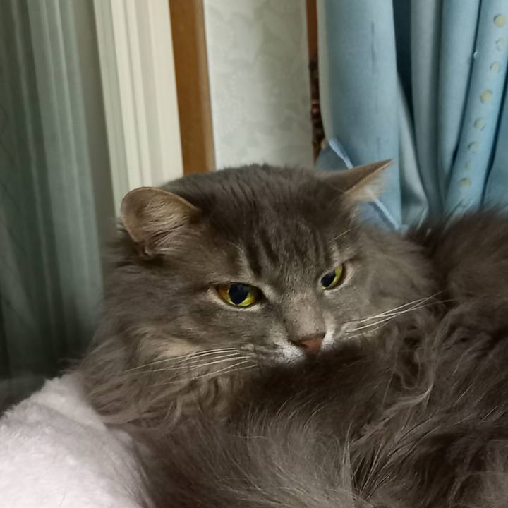 7d400afd f8a1 4637 a96e 558c272e0ea4 1617320846398