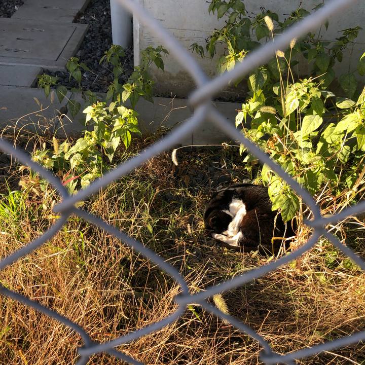 7d400d96 a90c 4f08 99ce e4075f1a4d0c 1609362894301