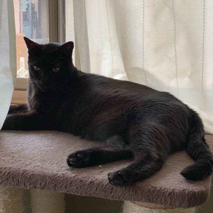 7d4011fd 5137 4ed8 976d bdbabc22aef6 1562720232326