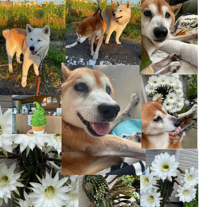 7d40147a 0e94 4096 8692 6cbc3edd5792 1628744755989