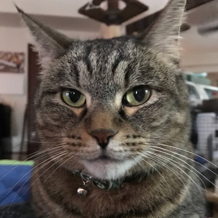 7d4058b3 cde1 4e6e 90ef f9a416139e51 1528009006446