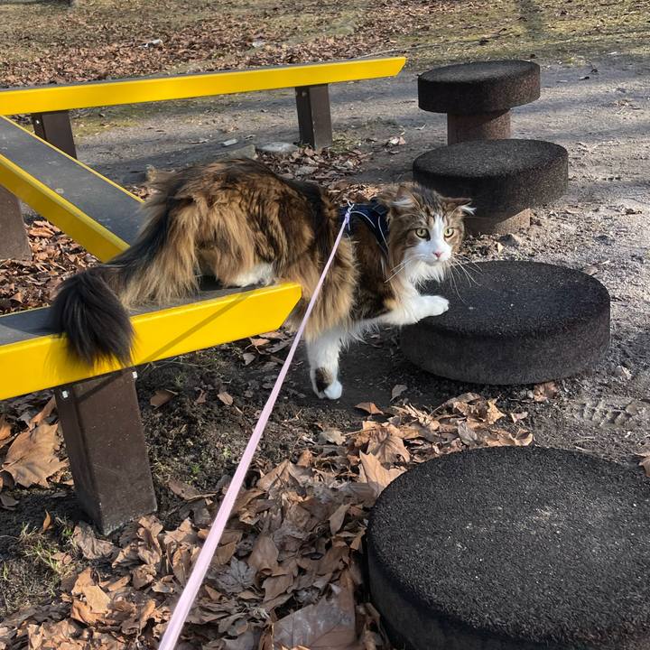 7d407310 3d13 4ba2 8c95 4ac10bee677b 1679384224311