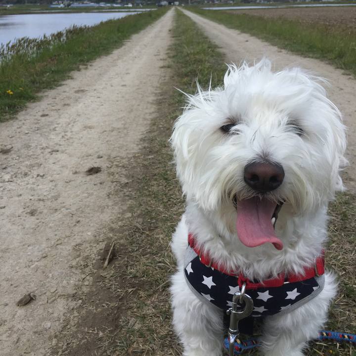 7d408206 b06d 4628 af3c 497e3c1eac9c 1556990601630