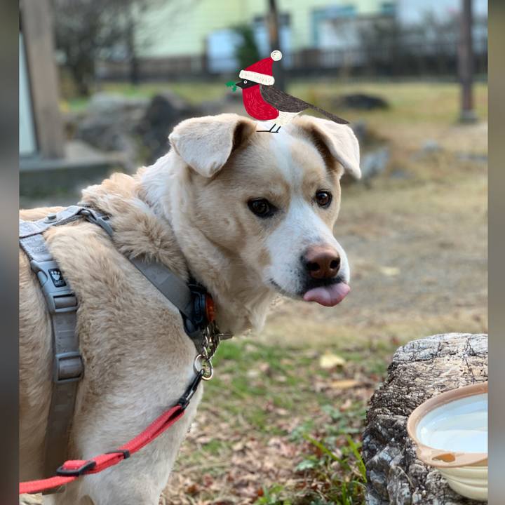 7d408b5a 115d 4664 8040 6d116cd5f505 1577229665207