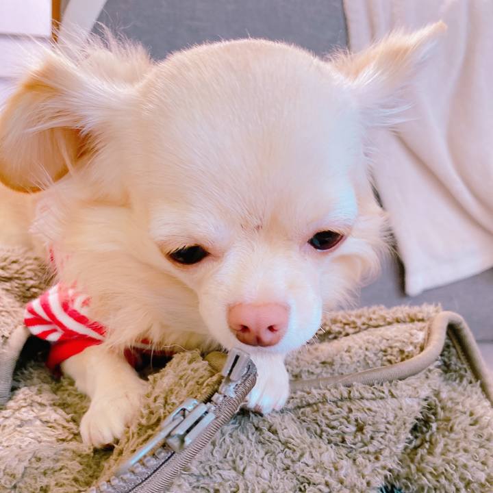 7d409152 50a7 47c9 b9b3 222cbe5c034b 1637048043532