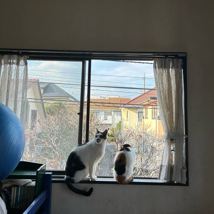 7d40af1e 5162 4c15 8946 ac0f562ab856 1731749485385