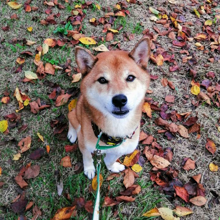 7d40cf14 99b3 41da a5fc ceac0c23d96b 1631605601421