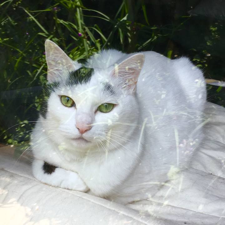 7d40f6fd ba65 4556 8591 42206d9096c8 1558839117836