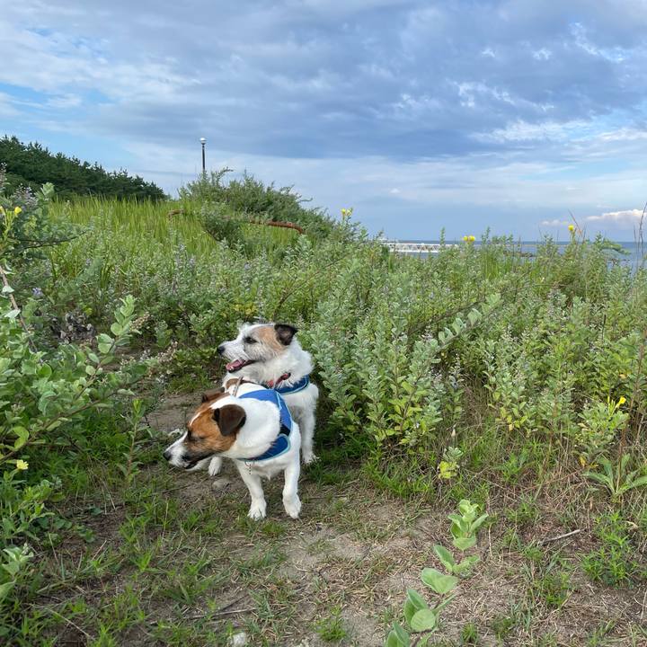 7d4111d3 99ef 4e9c 818a 4451ae1c372e 1755558616391