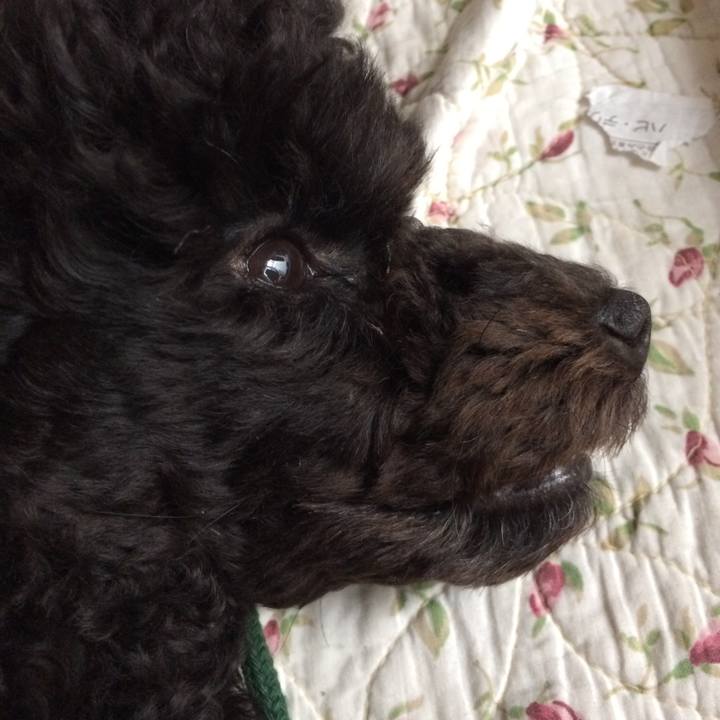 7d413580 0dbf 4ac5 9f8f 7b9c47e1a3b5 1531283953544