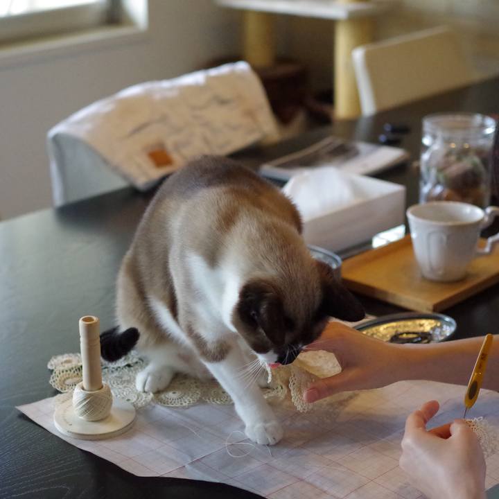 7d413d2d da18 4873 987e 81f1a81ac5f3 1537239215942