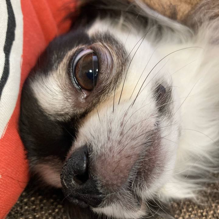 7d4146d7 5eaa 402d 9cf6 17aa7aa38cc1 1704191630875