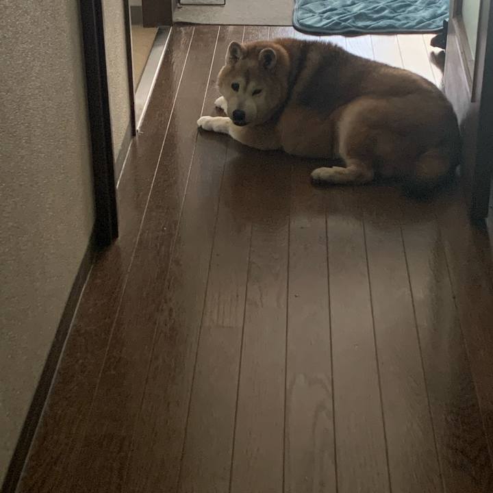 7d41ad70 ae46 4c58 a77a 0c12337f876f 1669261675207