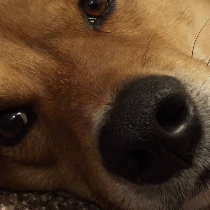 7d41d977 3dec 4e0f 851a 72d34d56920a 1530595659604