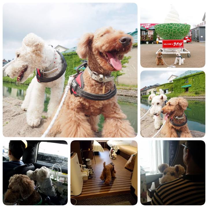 7d41f746 0b01 40b3 bf8b bb1722c59968 1562426023640