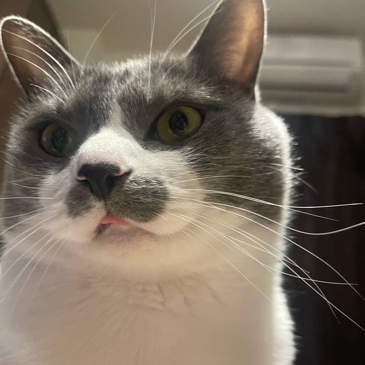 7d423b6f 0e2a 4abe 8091 a8ebbb56d7b6 1678367698105