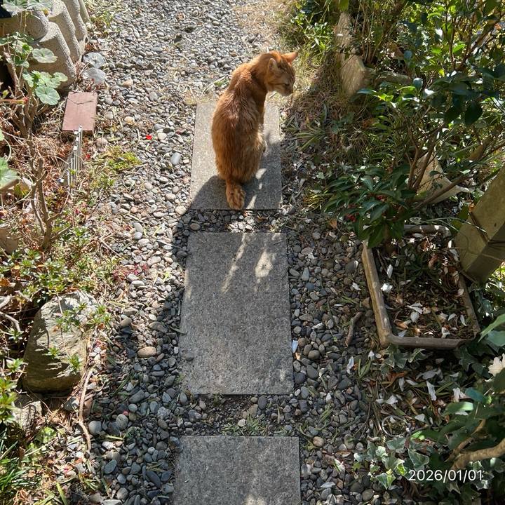 7d429a09 00ff 494f aebe 35bed9848601 1767231993178