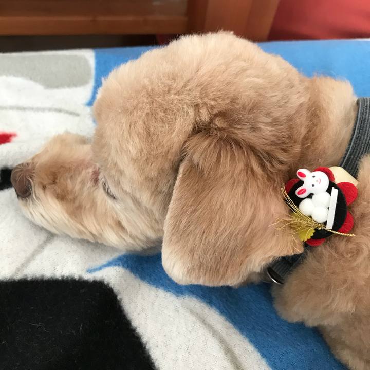 7d42b0fc f42a 4a00 a714 24b76ffd8474 1538738686510