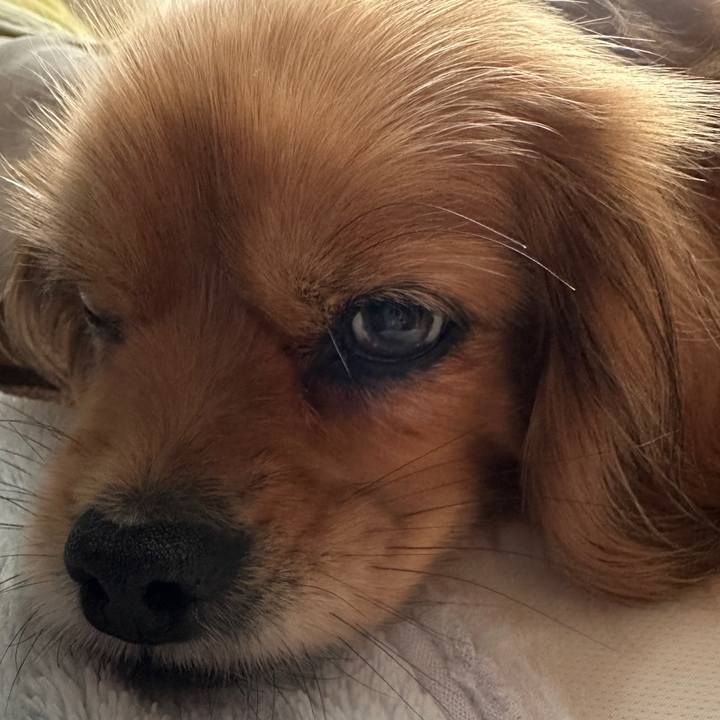 7d42ffbb 7e14 45d7 a20f 3dd42286b7c6 1683421787993